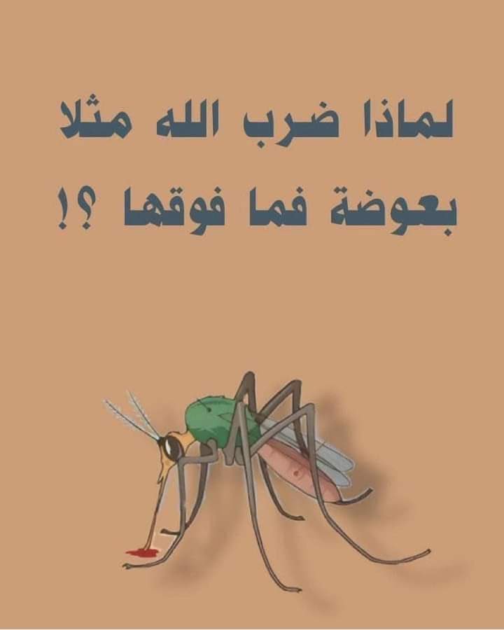 لماذا ضرب الله مثلا بعوضة فما فوقها؟؟

تحت هالتغريدة راح اشارككم اياها👌🏻

نصيحة اذا مشغول فضلها وارجع لها بعدين🤎