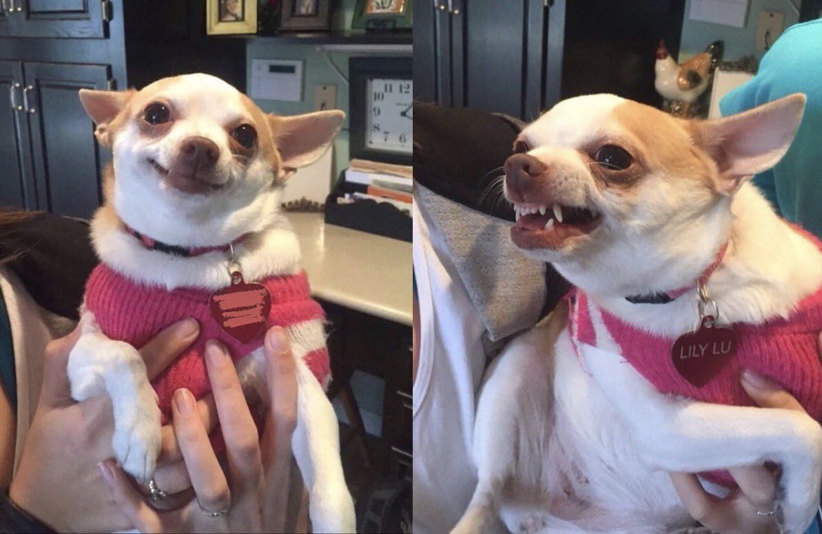 newsrooms when they hire journalists of color to better cover marginalized communities vs newsrooms when those same journalists do what they were hired for and point out bias in coverage decisions