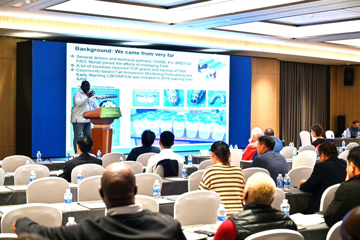 iapsc2's tweet photo. AU-IAPSC through its Coordinator Dr @SaliouNiassy  sharing some insights and best practices on the management of #fallarmyworm at the Global Symposium on Sustainable Fall Armyworm Management organized by @FAO in Beijing, China. https://t.co/SDYCd5VFhz
