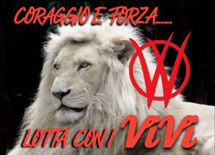 ONLINE OGGI
Mercoledì #8novembre 🍂

h 12:00 Room 9
h 13:30 Room 13
h 15:30 Room 7
h 17:30 Room 14
h 19:00 Room 1
h 20:00 Room 12
h 21:00 Room 4
h 22:00 Room 16

ACCEDI ALLE CHATROOMS 

t.me/+WKa9R3HBnQU1N…

❗SCOPRI COME E PERCHÉ❗
🔥diventare GUERRIERO #V_V #WEFAgenda2030 .