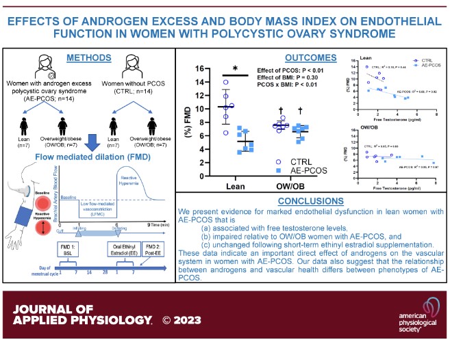 japplphysiol's tweet photo. 🌟Available to read #FreeArticleOfTheWeek, Effects of androgen excess and body mass index on endothelial function in women with polycystic ovary syndrome
Danielle E. Berbrier, et al.
✔️https://t.co/QOvqIvZAUS
#JAPPL @CHAR_Lab https://t.co/ktXYrOxPIE