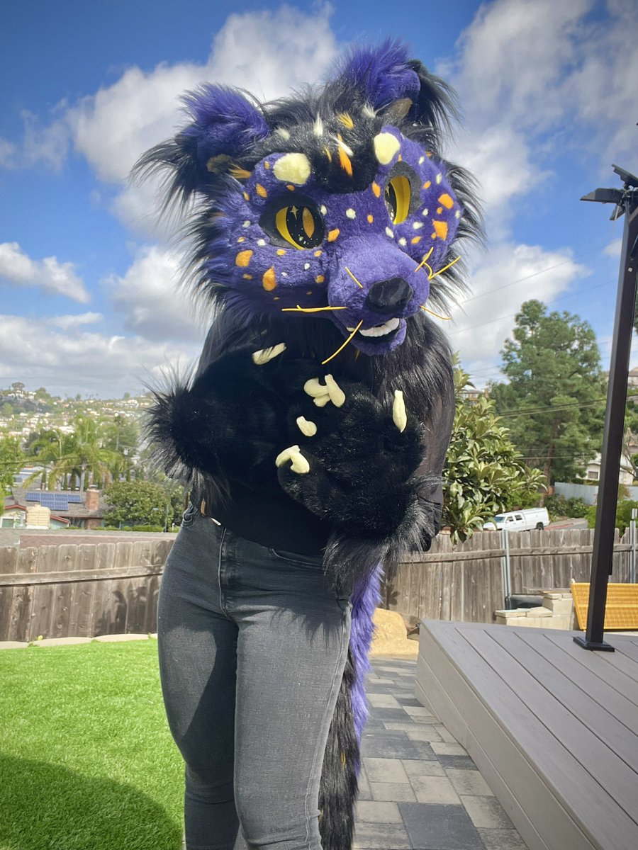 GoldFlowerFurs's tweet image. Binturong fursuit for s4le!
Fits up to 24” head 
Looking at offers over 2000 or 4,500 if you want a fullsuit upgrade!
