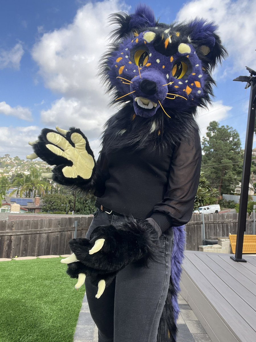 GoldFlowerFurs's tweet image. Binturong fursuit for s4le!
Fits up to 24” head 
Looking at offers over 2000 or 4,500 if you want a fullsuit upgrade!
