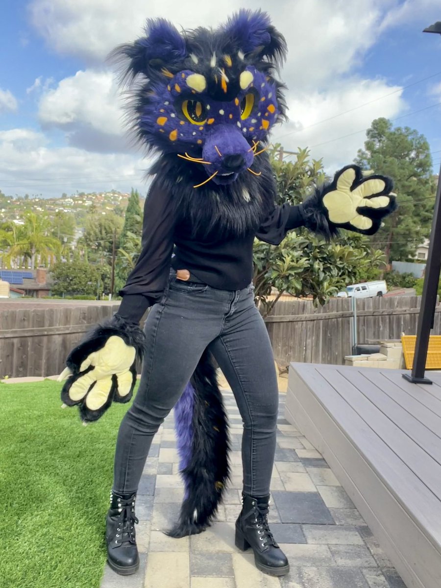 GoldFlowerFurs's tweet image. Binturong fursuit for s4le!
Fits up to 24” head 
Looking at offers over 2000 or 4,500 if you want a fullsuit upgrade!