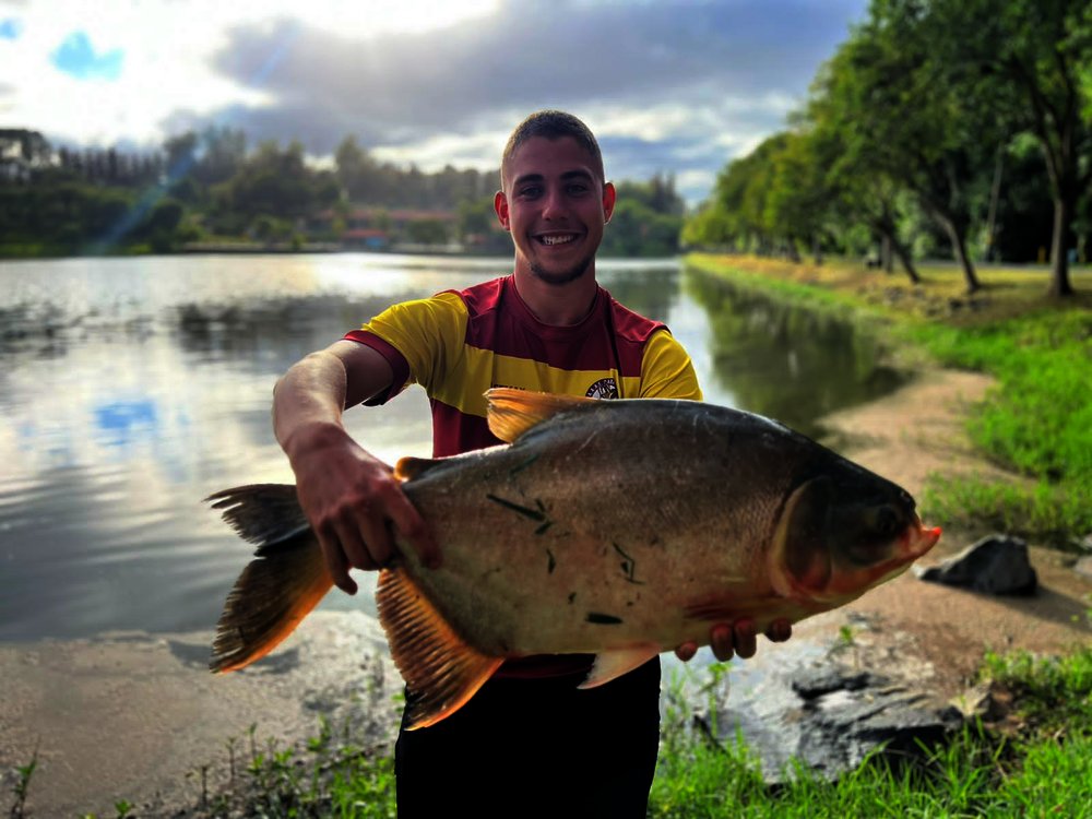 aredeinfo's tweet image. #COMPETIÇÃO 🐟 Torneio de Pesca do ‘Ponta-Lagoa’ deve reunir 500 participantes.

Detalhes na #noticia do 👉 Portal #aRede: arede.info/_/495329