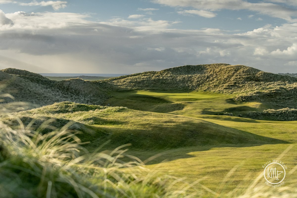 Kevin Markham tweet media