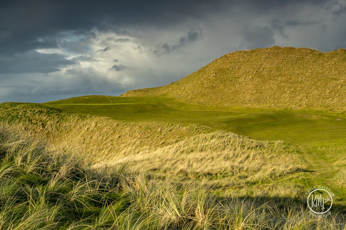 Kevin Markham tweet media