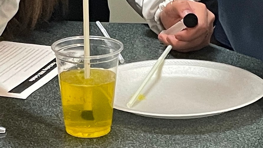 On this special occasion of National STEM Day, our AP Environmental Science class is engaging in a fascinating simulation of extracting natural gas from gelatin! 🧪🔍 #NationalSTEMDay #ScienceSimulation #HandsOnLearning 
#wghstogether #whywalton #wghswarriors