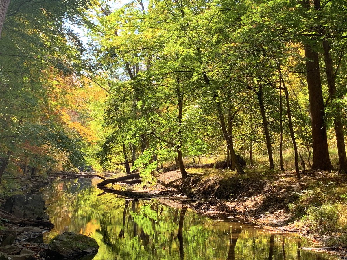 A beautiful autumn day in the Crum Woods at <a href="/swarthmore/">Swarthmore College</a>.