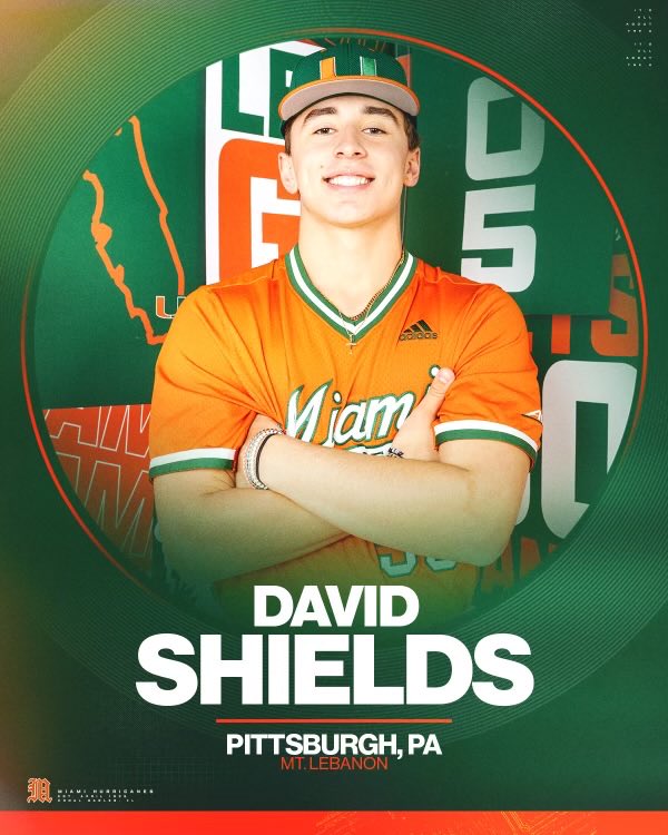 David Shields tweet media