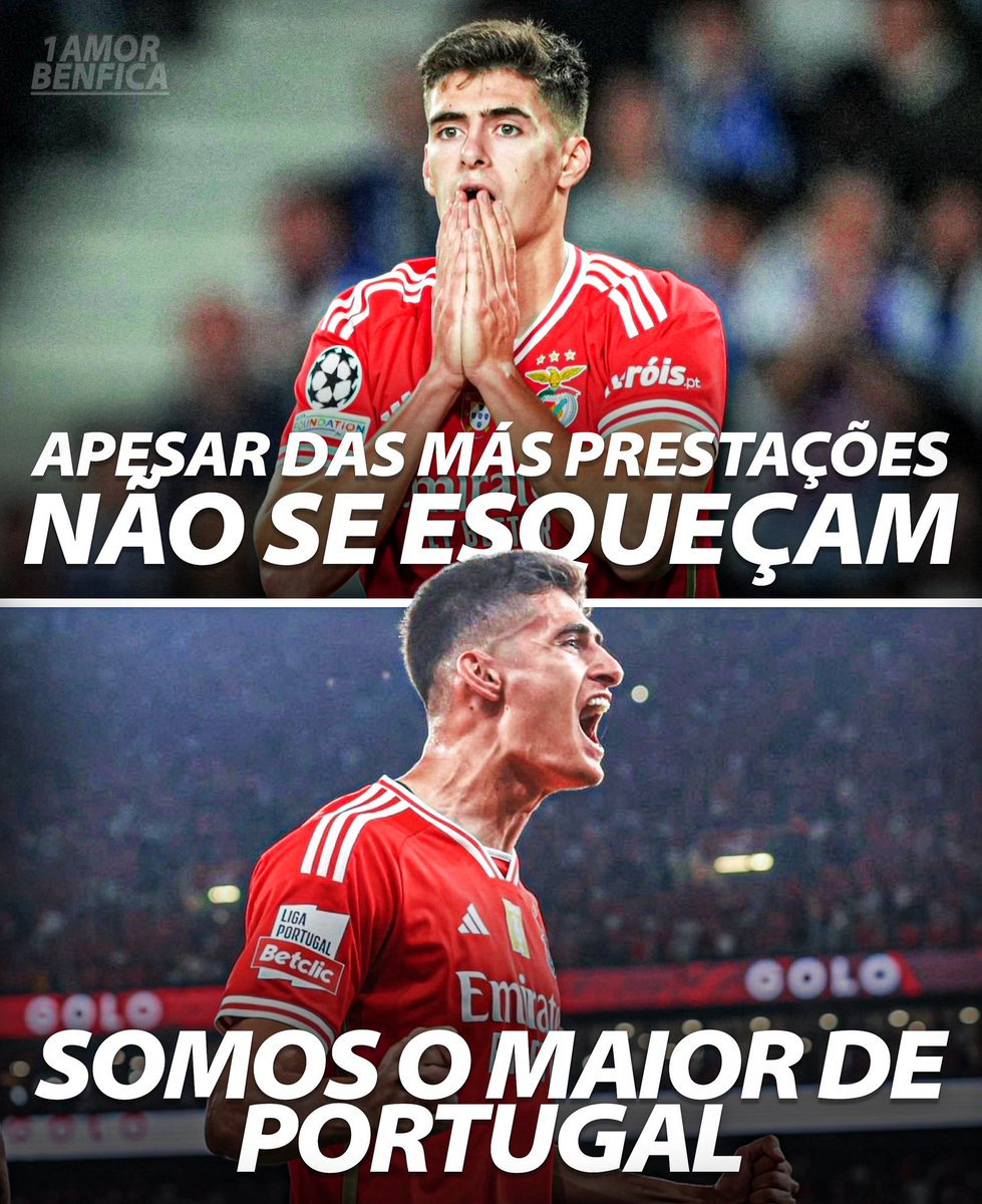 SOMOS SPORT LISBOA E BENFICA, VENCER NO DOMINGO ! 🦎