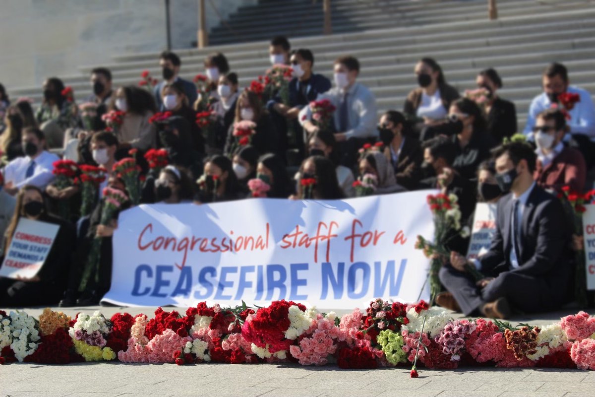 Sending love to our Congressional staff who held a vigil today urging a #CeasefireNow

Your courage is inspiring. Solidarity ✊🏾💜