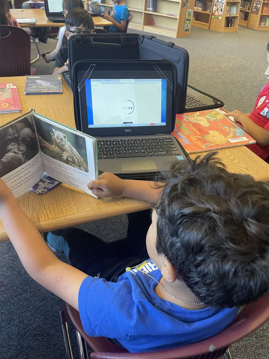 Stephanie Balster tweet media