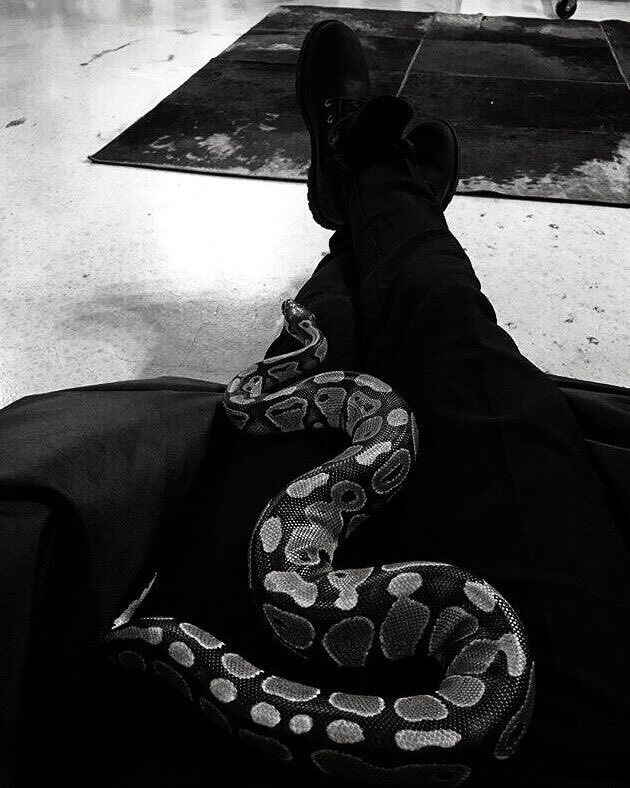 devilsmaia's tweet image. aula da @khaliwintery ❄️.