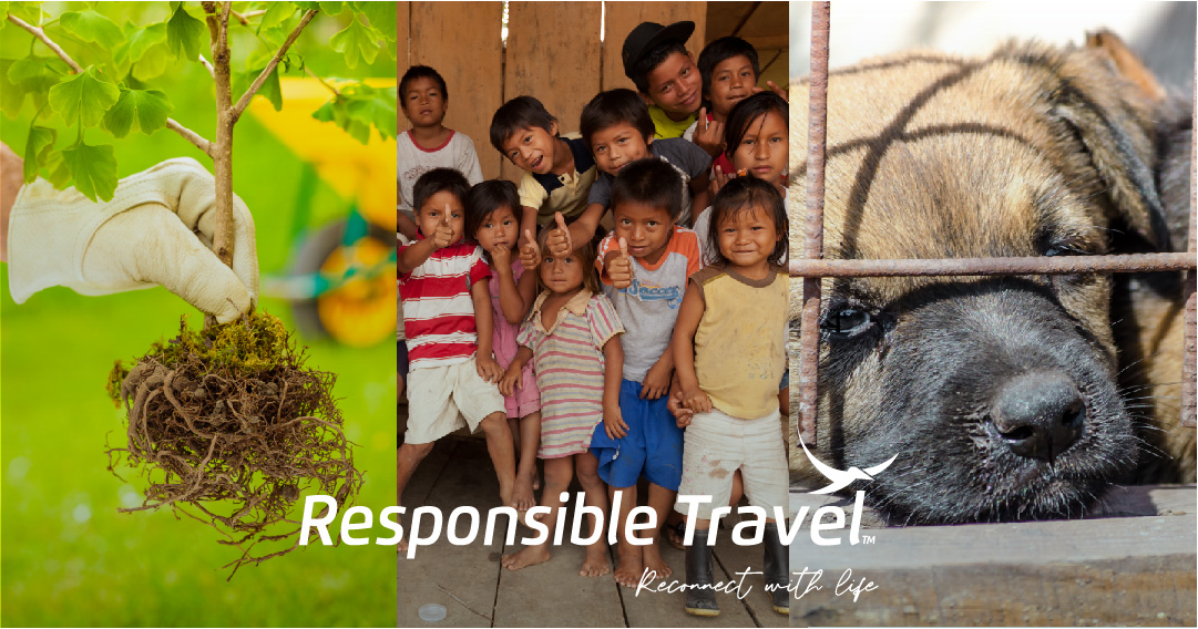 EcuGalapagos's tweet photo. 🌟 We're proud to be more than just a business; we're a force for good! 🤝 At Responsible Travel, we're committed to supporting environmental and social projects that make a positive impact in our community and beyond. 🌍
#ResponsibleTravel #ReconnectWithLife #ecuador https://t.co/BnLG0GKNgR
