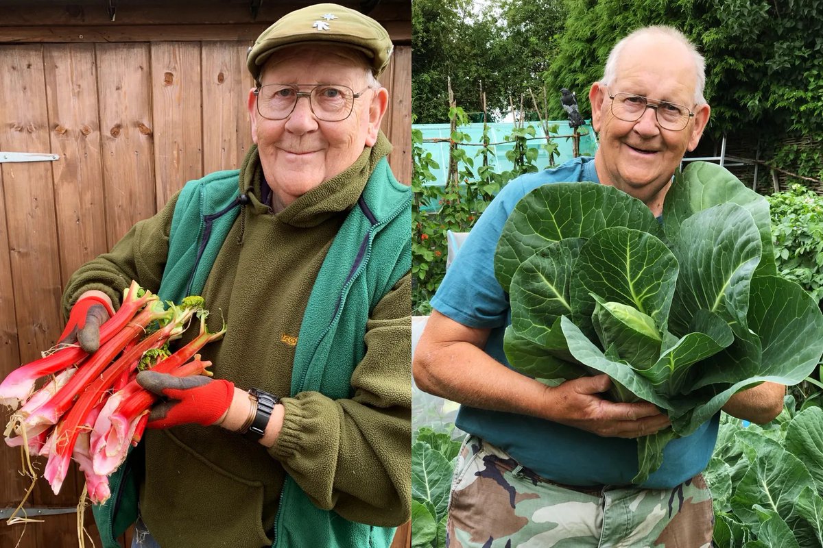 BeckyWant's tweet image. Tonight I bring you sunshine on a dark November day. @geraldstratfor3 with his Big Veg - what a story, what a man 💕💕 #LateNightBecky #BBCLocalRadio #AllEngland from 10pm