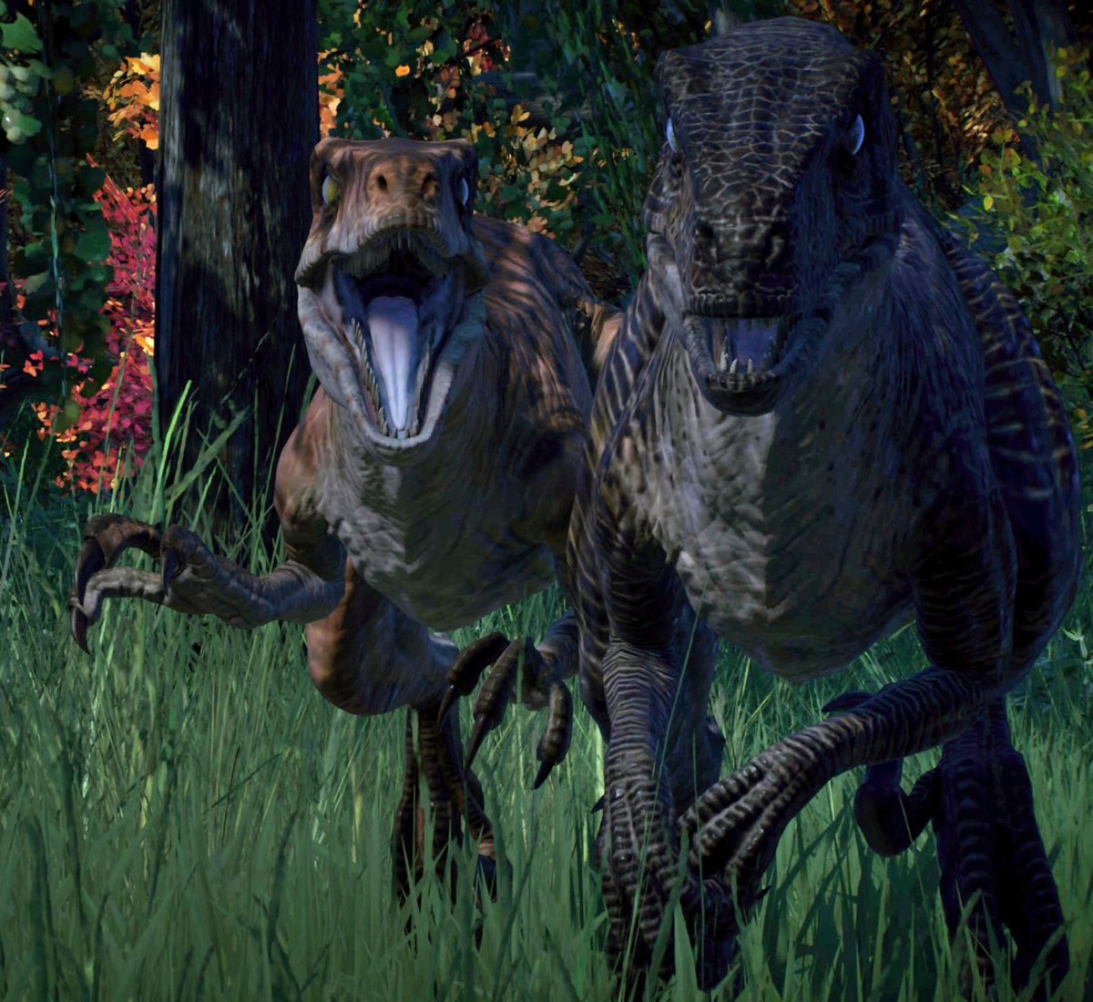 DON'T GO TO THE LONG GRASS!!!
#PS5Share #PlayStation #jurassicpark #PlayStation5 #PS5 #VirtualPhotography #JurassicWorldEvolution #dinosaurs #Dinovember2023 #JurassicWorldEvolution2 #animals #Velociraptor #droameosauridae #IslaSorna #SiteB