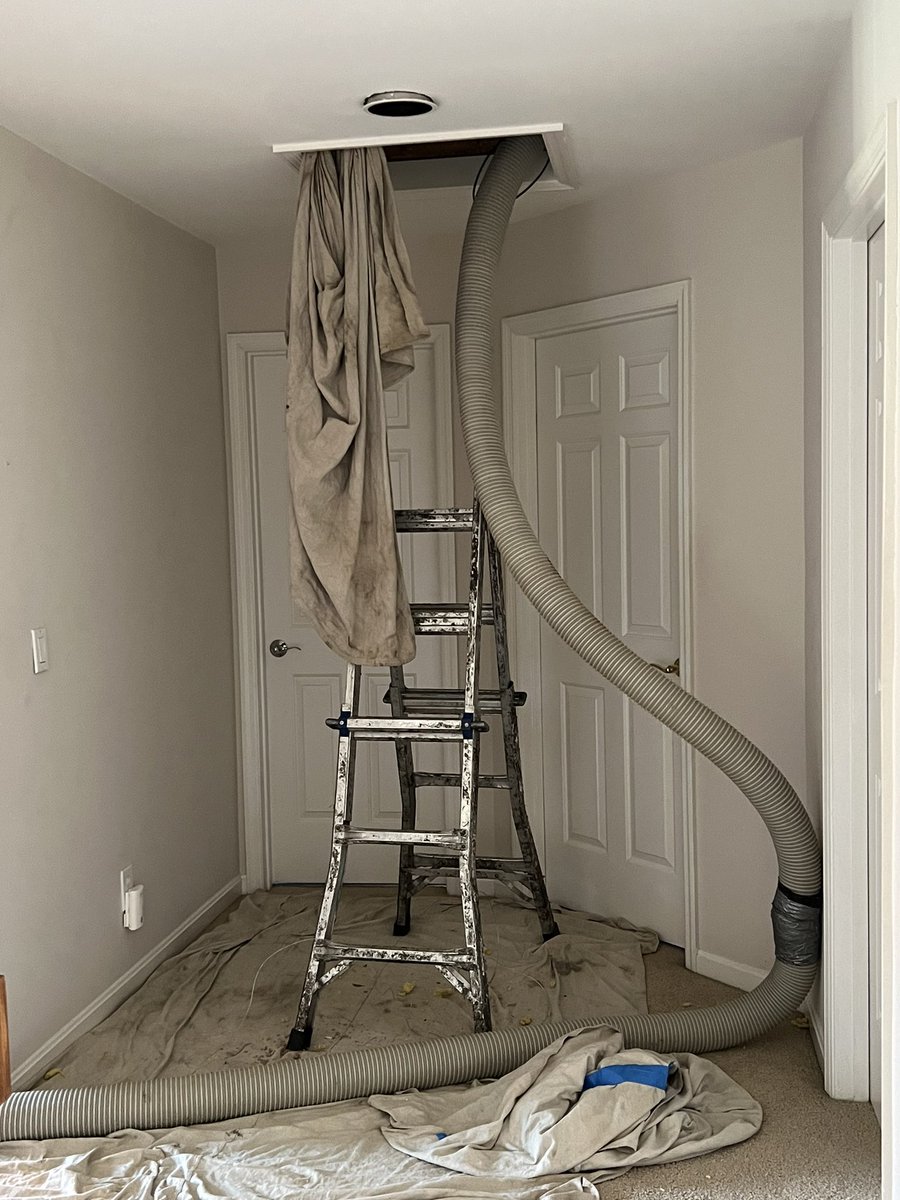 Elspeth Eastman tweet media