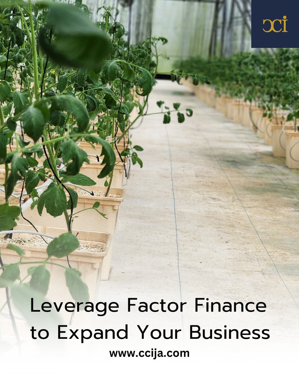 CarbyneCapital's tweet photo. 📢 Calling all ambitious entrepreneurs! 🌟

Are you ready to take your business to new heights? Introducing the power of leverage factor finance! 

Unlock the potential of your business with our game-changing investment financing solutions. 

#InvestmentFinance #BusinessGrowth https://t.co/VoLW3fpe7M