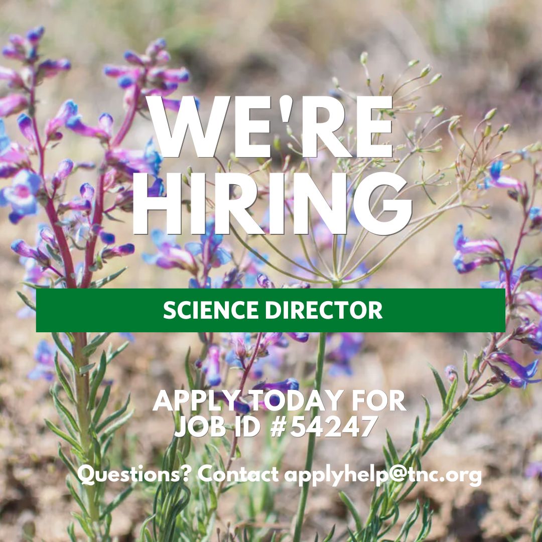 M_Buonanduci's tweet photo. The Nature Conservancy of Washington is hiring a Director of Science for our collaborative, interdisciplinary Science team! The Director of Science will set programmatic vision and integrate an evidence-based, scientific approach for priority applied conservation and policy work. https://t.co/wMSKdKjikt