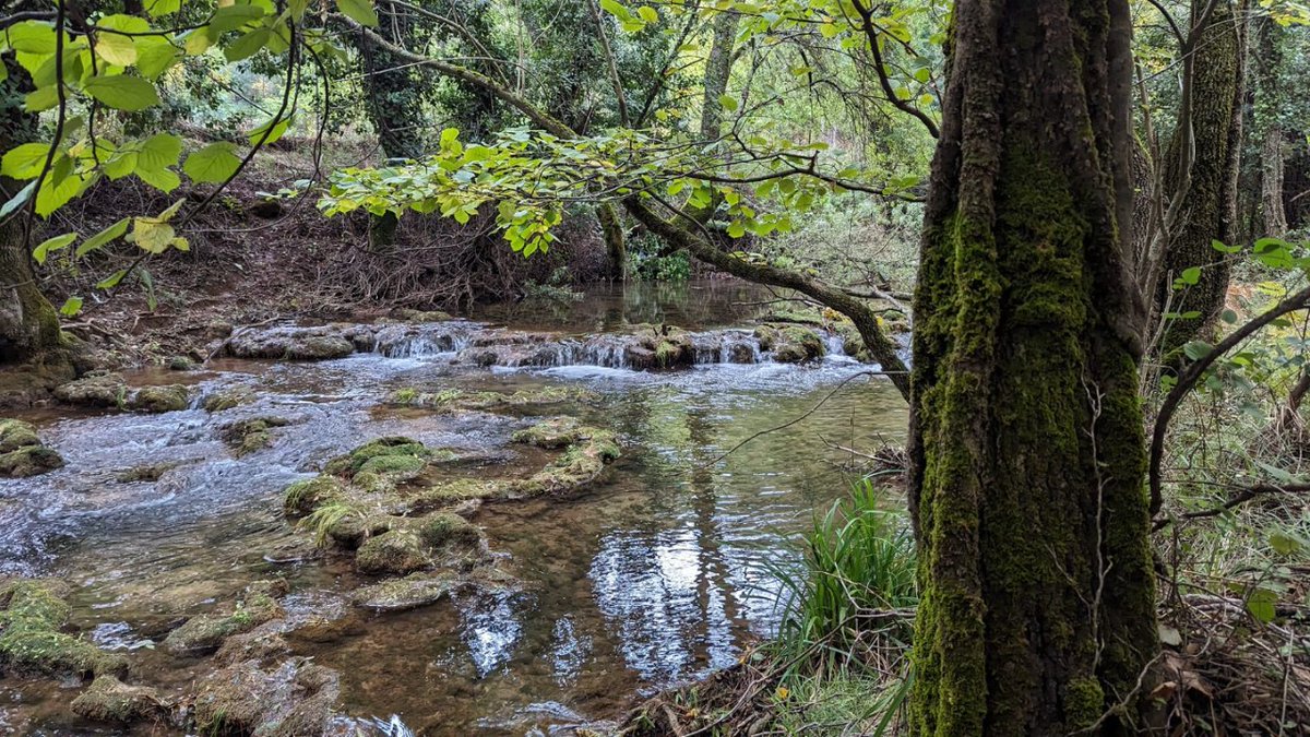 viajarporjaen's tweet photo. 📸 Impresionante como está nuestros parques naturales donde nos anima a coger nuestra mochila y recorrerlos.

Es el caso de José Antonio Palomares que ha realizado una ruta circular desde Arroyo Frío hacia la Cerrada del Utrero, en la Sierra de Cazorla.

#jaénparaísointerior https://t.co/0kGDTTibbS