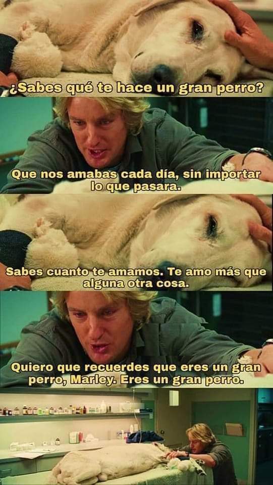ErigolDelViento's tweet photo. https://t.co/xmdbdmJv64