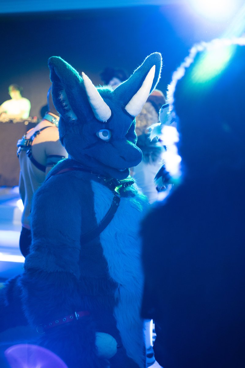 adra_fur's tweet photo. It's #FursuitFriday

Taken during #FBL11 by @deeryeen 

🪡 @Tiwoof https://t.co/cjAHvqGqpX