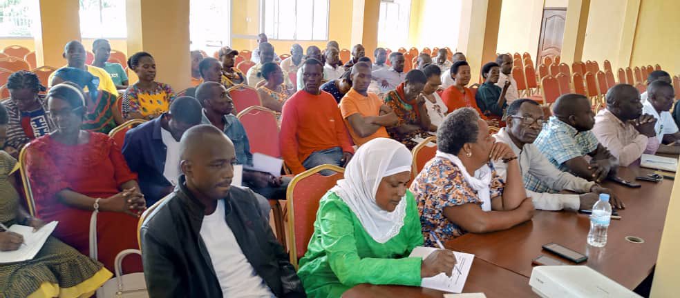 REMERA SECTOR tweet media