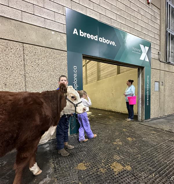 xplore_ca's tweet photo. We are making new friends, animal and human, at @FarmfairInt in Edmonton! While you're exploring one of Canada's largest agricultural shows, make sure to visit our booth and learn about the latest in high-speed Internet with unlimited data for rural Canadians. We'll be there Wednesday to Friday from 9 a.m. to 6 p.m. & Saturday from 9 to 5.