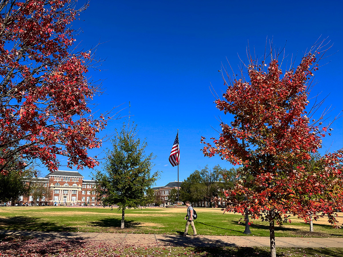 MSU College of Education tweet media