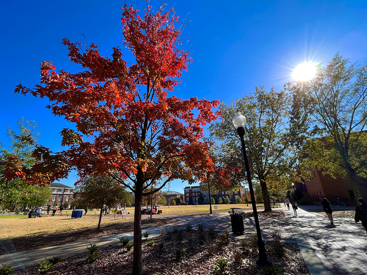 MSU College of Education tweet media