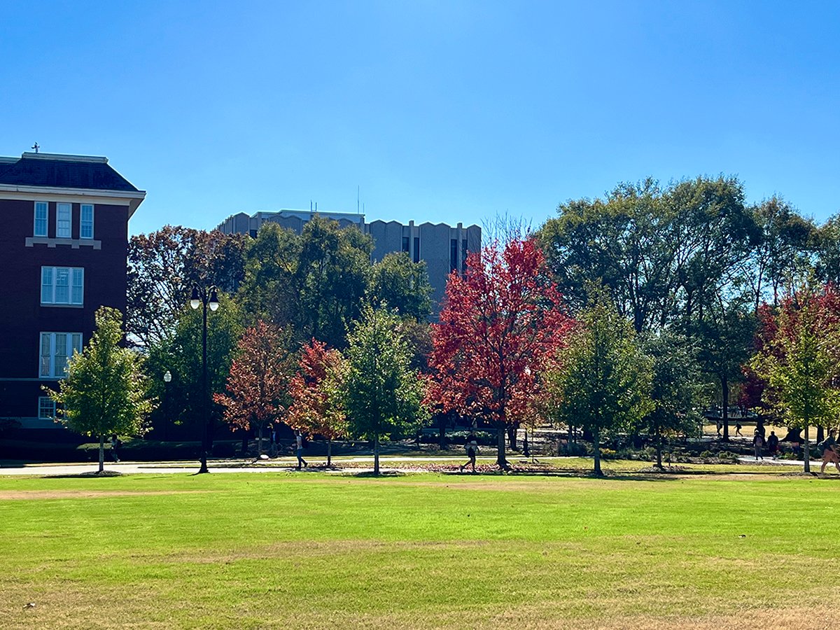 MSU College of Education tweet media