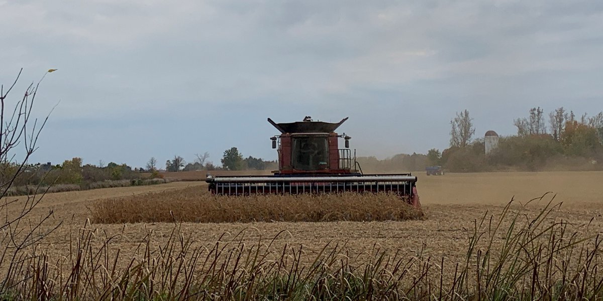 The deadline is 1 week away ... Ottawa Valley Farm Show Photo Contest 2023 ... submit your photos before November 15! ottawafarmshow.com #BeautyofAG
