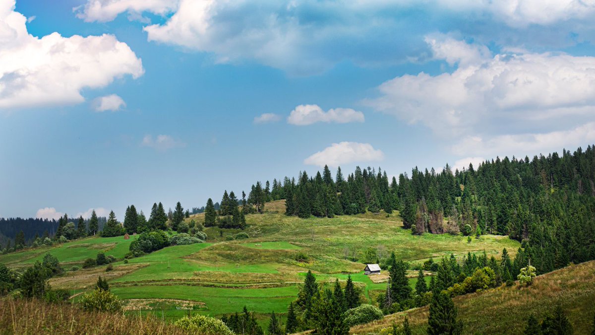 Outforia tweet media