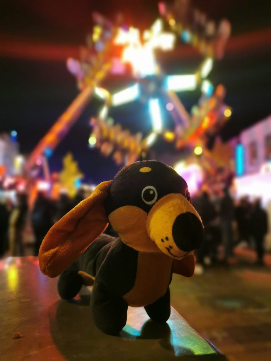 BelvoirCare Ltd. tweet media