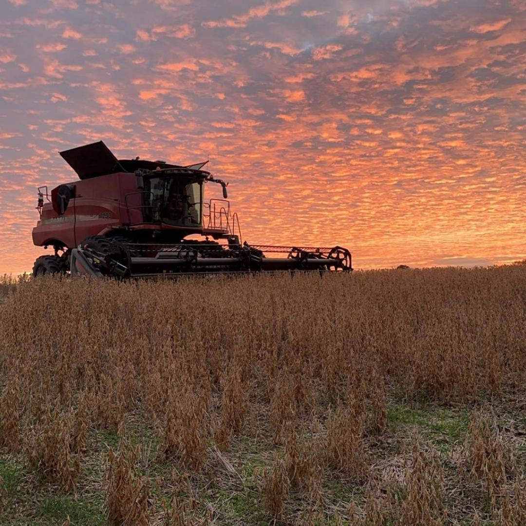 RandolphCoFB's tweet photo. Such a beautiful ending to Harvest 2023! https://t.co/I0HKVRlDCi
