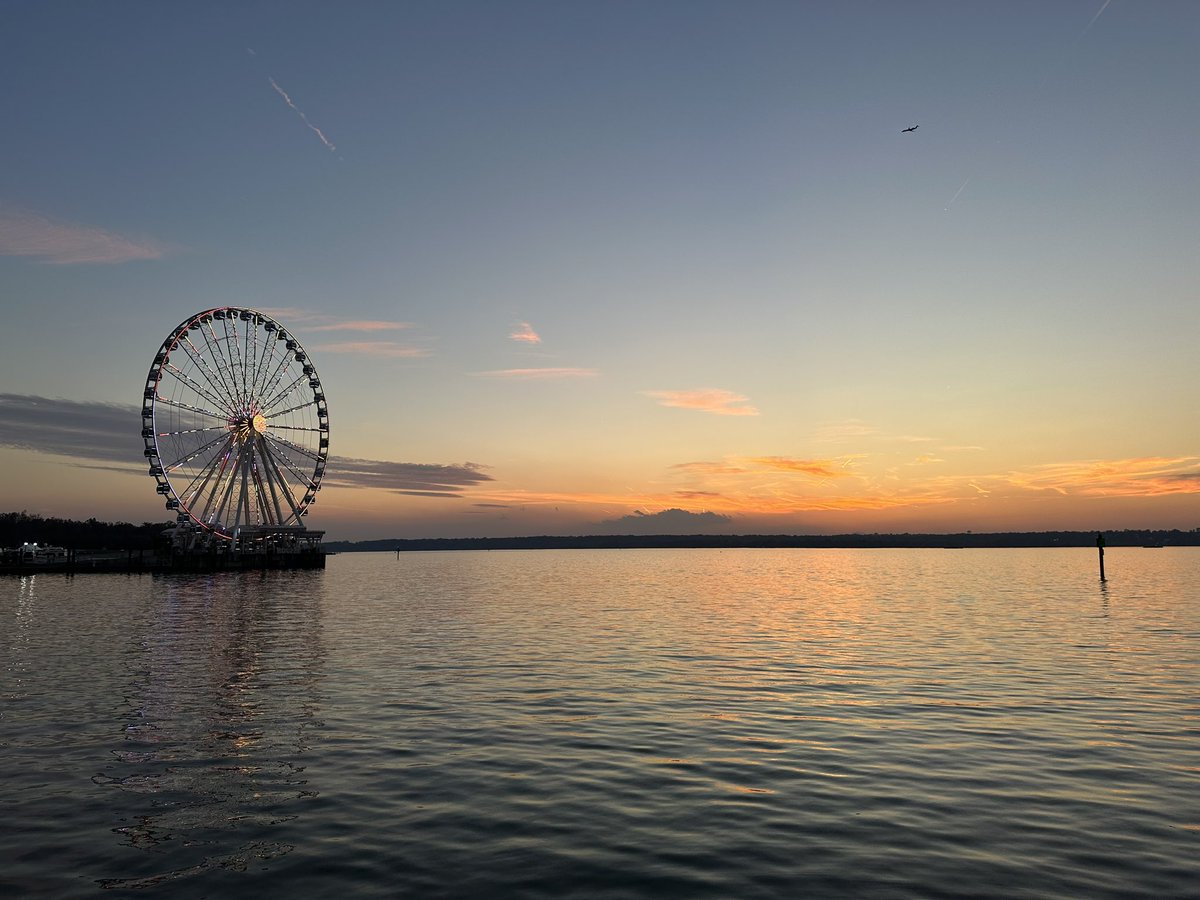 Lindsey M Markowitz tweet media