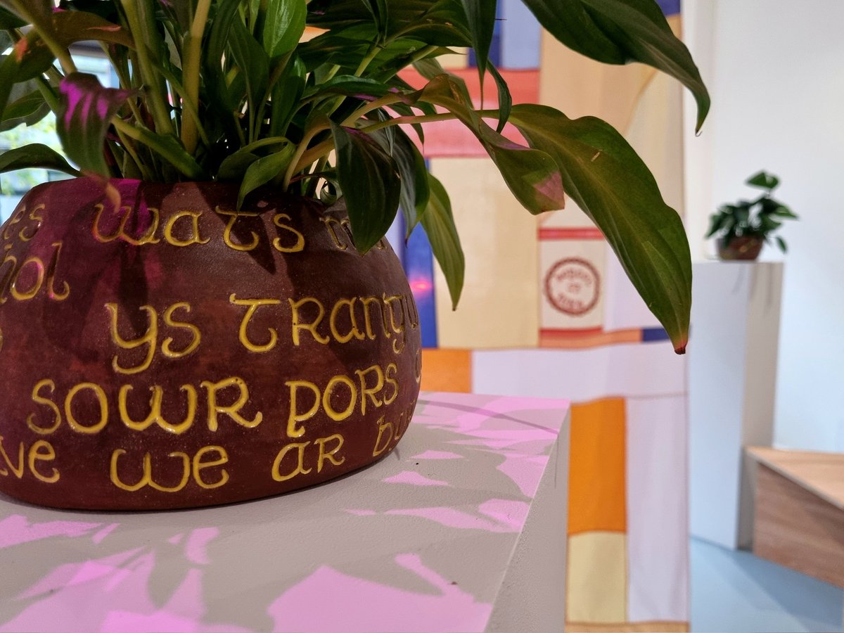 HardimansGalway's tweet photo. honey, milk & salt in a seashell before sunrise — TULCA Festival of Visual Arts. An installation by Bog Cottage at Outset Gallery #TULCA #TULCA2023 #Galway https://t.co/qCiP0EpQRe