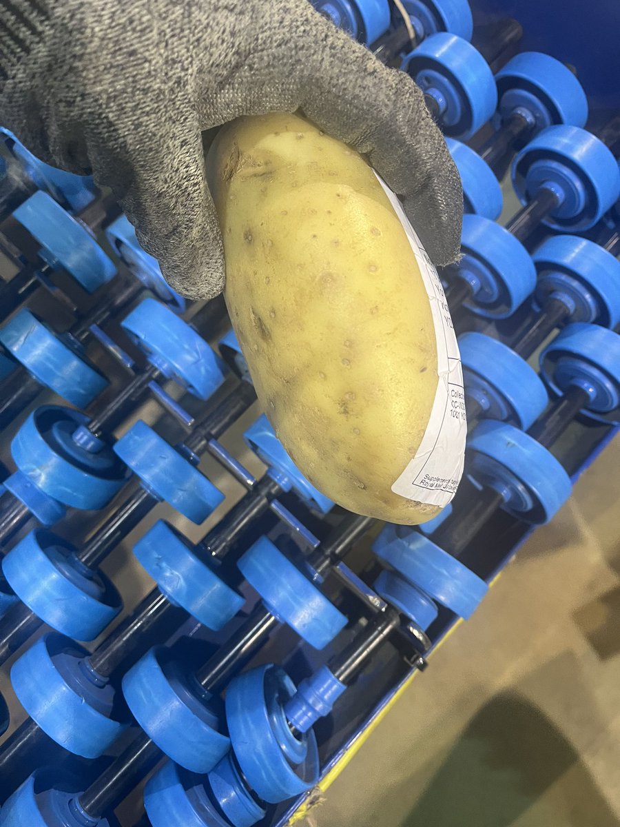 BronnieHQ's tweet photo. Someone shipped a potato, it had a legit tracked 48 label on it and everything 🥔 😂😂 @BronnieMusic was it you? Lol https://t.co/BG8p4D3pyW