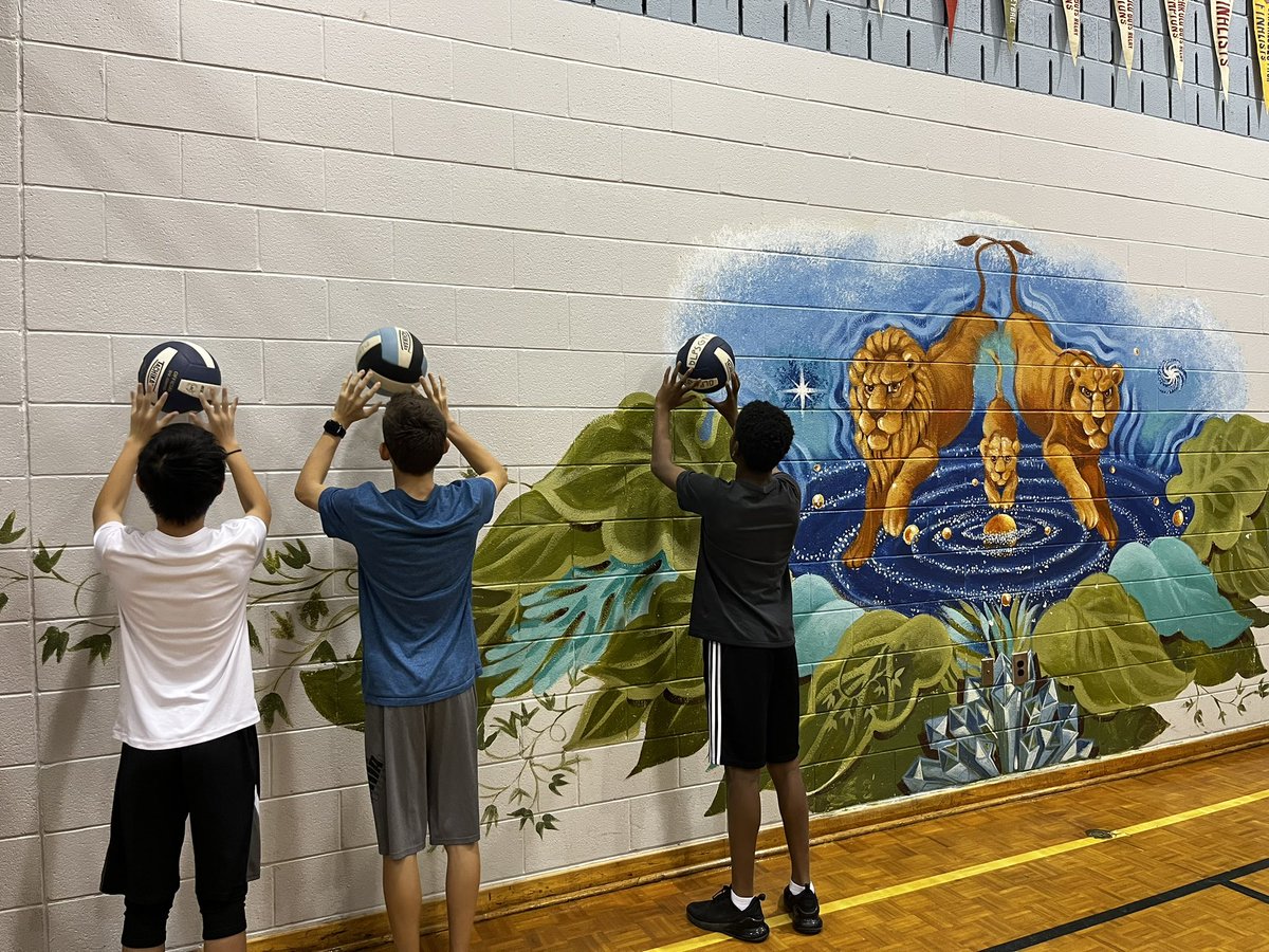 wallteaches's tweet photo. Early morning volleyball @TDSB_DavidLewis https://t.co/UTiNQiWO0p