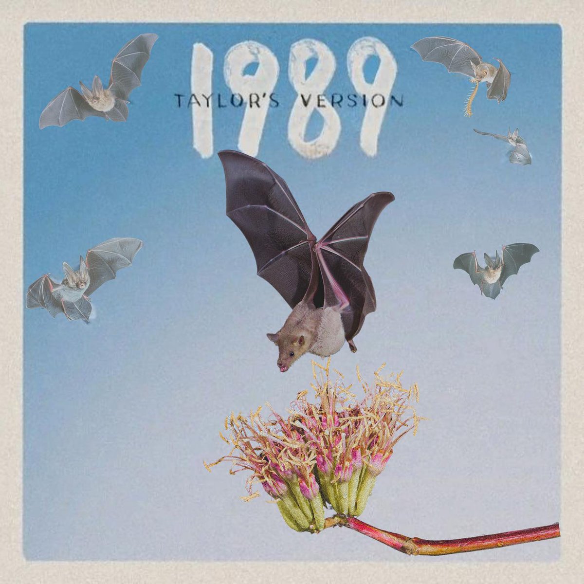 BatConIntl's tweet photo. Tracklist:
���� Bat Space
🎵 Good Blood (feat. Desmodus)
🎵 I Know Places (We Can Roost)
🎵 In the woods
🎵 Wildest Screams
🎵 Subterannean Legends
🎵 Underland
🎵 All You Had To Do Was Hang
🎵 Now That We Don't Echolocate

📷: Bruce D. Taubert, J. Scott Altenbach
#1989taylorsversion