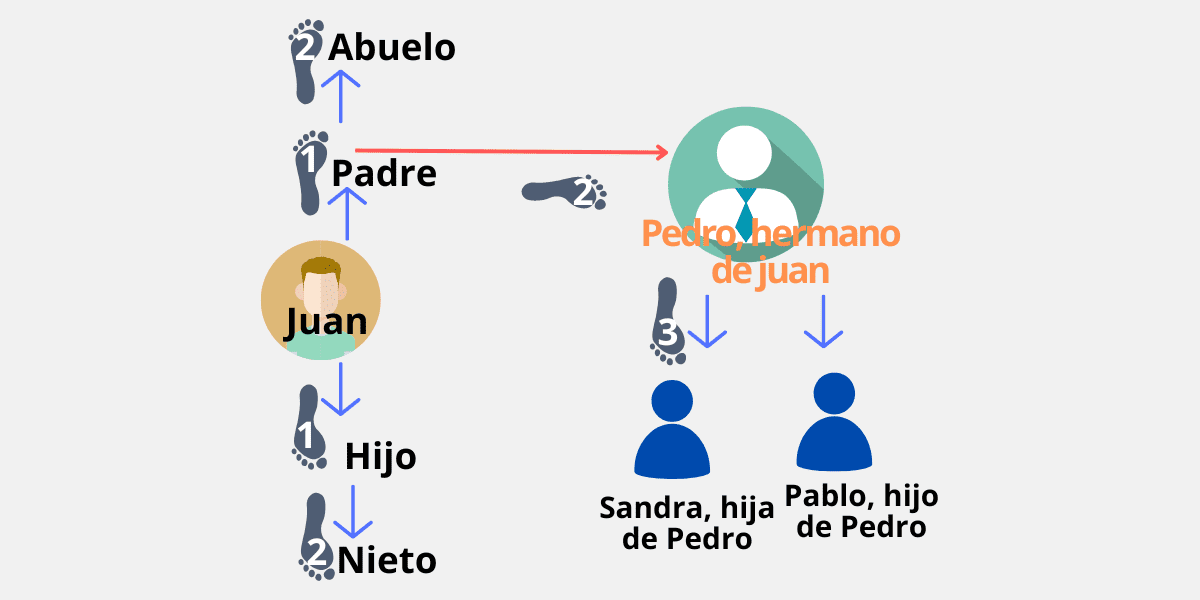 alecha_dc12's tweet photo. Ahora veamos los grados de parentesco.
 
Existe el parentesco natural y el parentesco por afinidad, dentro del parentesco natural, existe el parentesco de forma lineal ( ascendente o descendente)  y colateral ( une a dos personas que descienden de un autor). https://t.co/QkysJ6HLai
