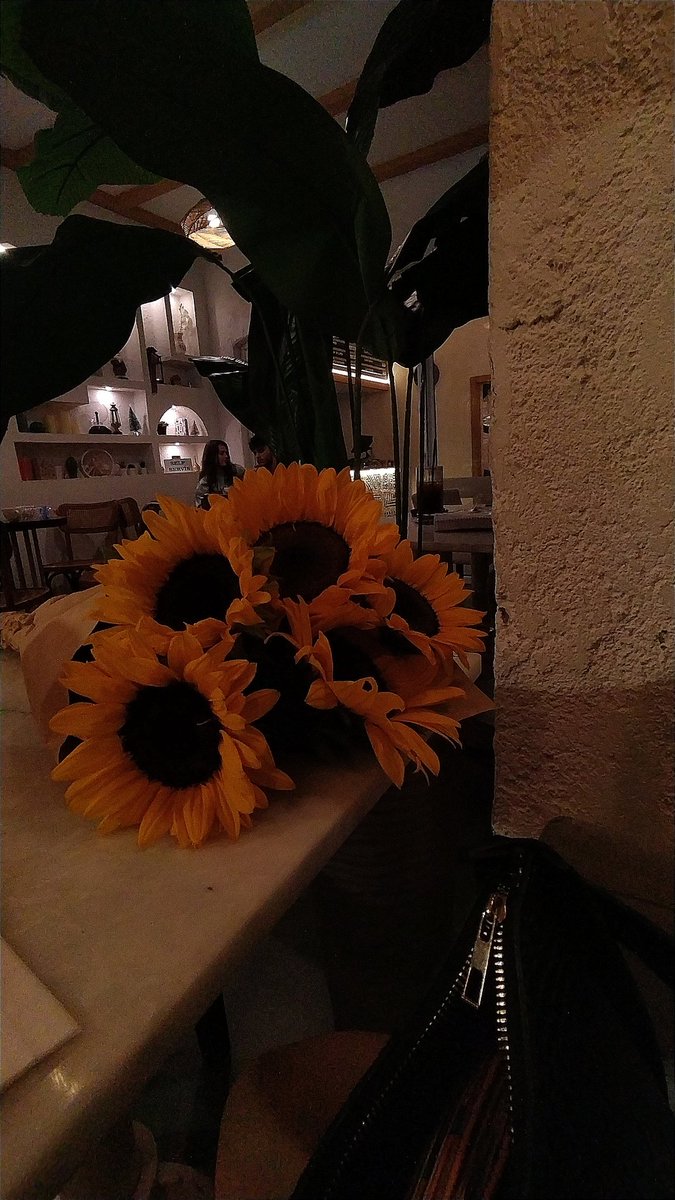 gnl_sedaa's tweet photo. Çiçek istiyorsam birinin almasını beklemem, bu hayatta kimseden bir şey beklememem gerektiğini çok güzel öğrendim, kendi kendime yetebilmeyi ve en çokta en büyük mutluluğu kendi kendime verebileceğimi öğrendim 💕 al sedoş saçlarının renginden 🌻 https://t.co/B8j7esW41B