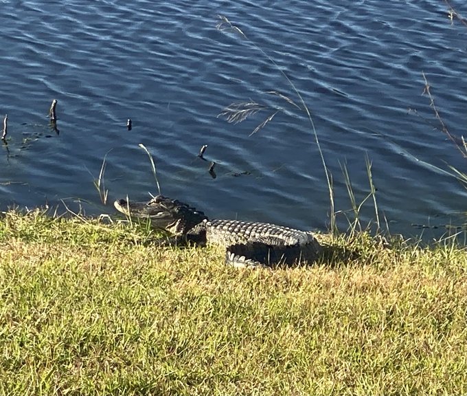 Who&rsquo;s the baby&hellip; 😍 https://t.co/Z7nQMGCfIv<a href="/tag/bridgertons3"class="tags"><span>#bridgertons3</span></a>