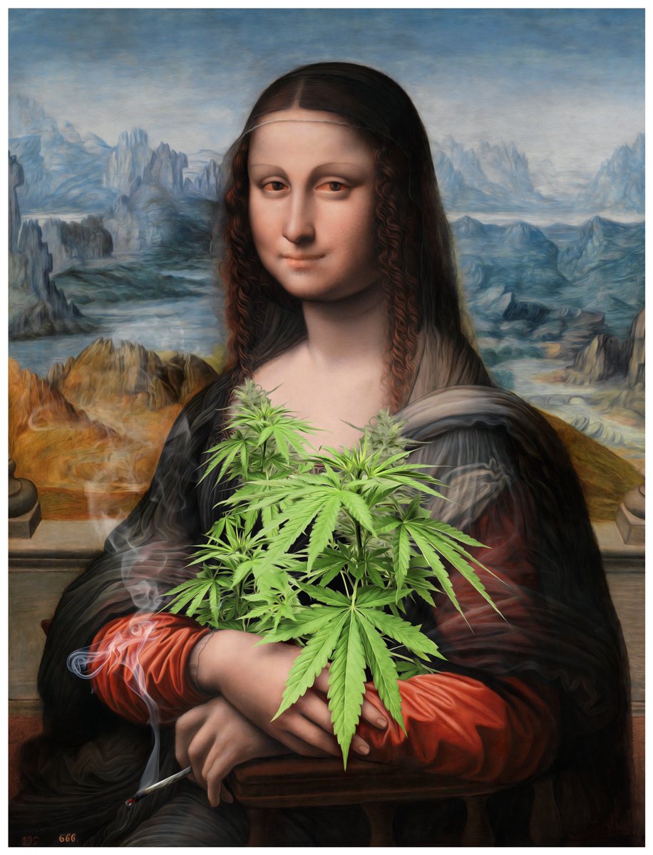 Tommy Noble 🦎 🪑 tweet media