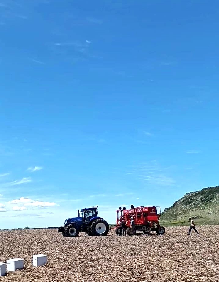 𝘔𝘢. 𝘝𝘪𝘳𝘨𝘪𝘯𝘪𝘢 𝘓𝘢𝘨𝘰𝘴 tweet media