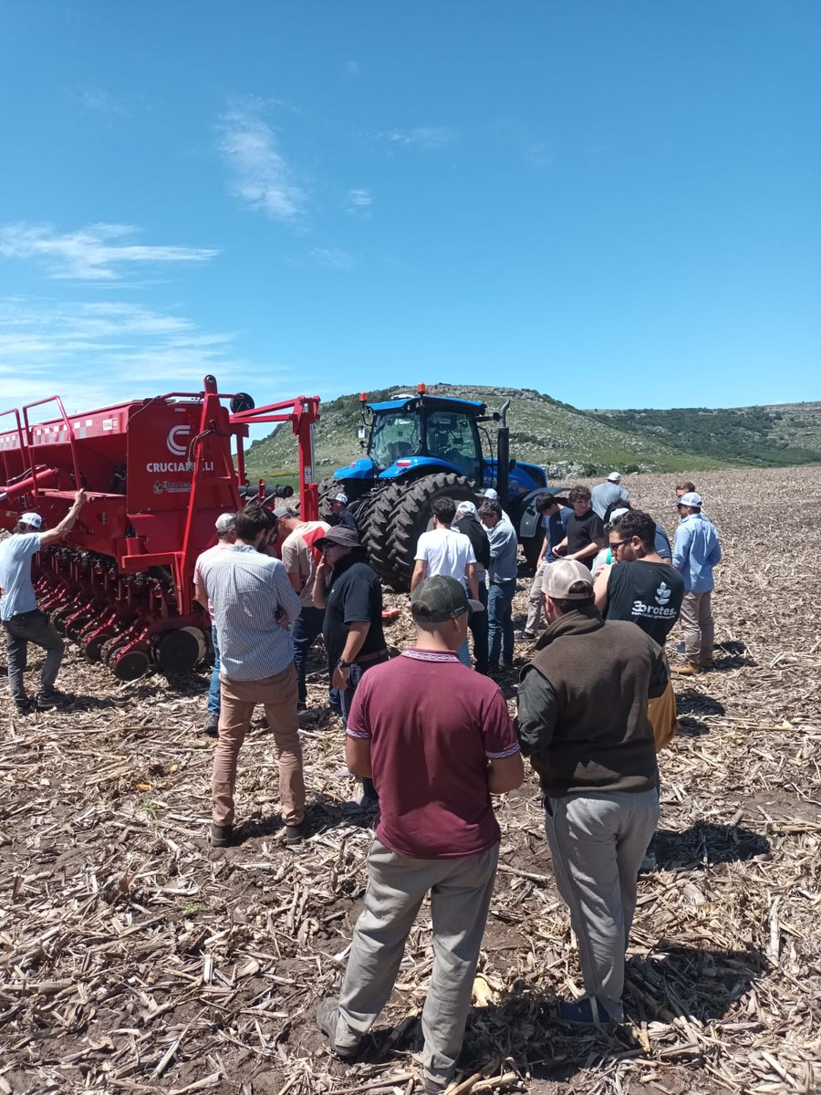 𝘔𝘢. 𝘝𝘪𝘳𝘨𝘪𝘯𝘪𝘢 𝘓𝘢𝘨𝘰𝘴 tweet media