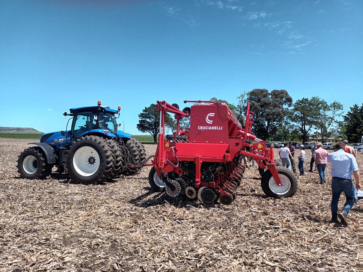 𝘔𝘢. 𝘝𝘪𝘳𝘨𝘪𝘯𝘪𝘢 𝘓𝘢𝘨𝘰𝘴 tweet media