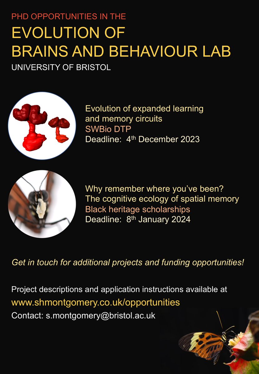 We’re advertising PhD projects @BristolBioSci in evolutionary neurobiology and behaviour - a couple already advertised but other opportunities may also come up. Please pass around and get in touch if you’re interested! 🧠 more details here shmontgomery.co.uk/opportunities