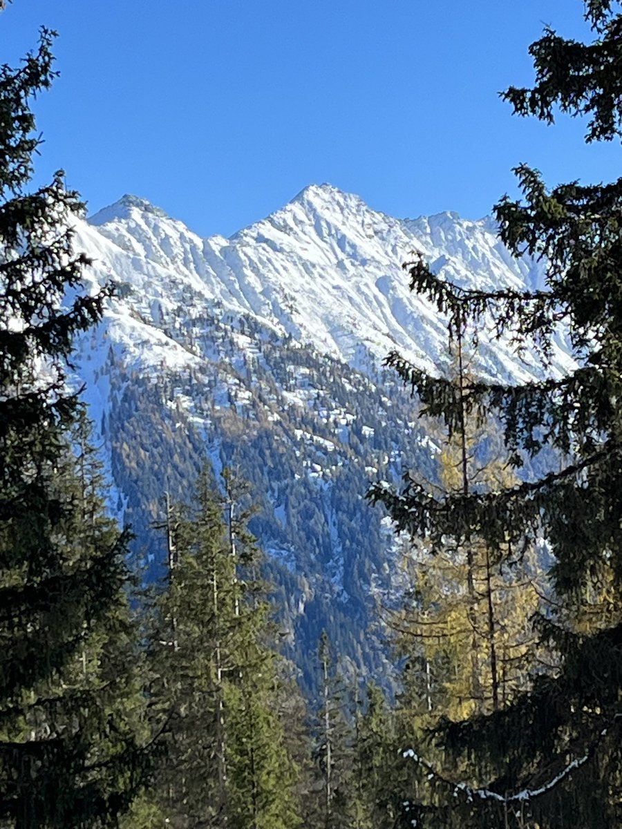 kronauer216's tweet photo. @florianklenk Das Leben hat doch viel Schöneres zu bieten als das gegenseitige Anpatzen immerfort! Bringt uns nicht weiter! Erfreut euch an einem Foto, das zeigt, wenn der bunte Herbst den herannahenden Winter grüßt! https://t.co/D4zxRBv9qT